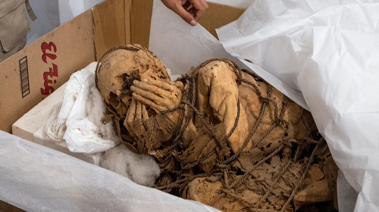 Expertos desorientados por las impactantes imágenes de la momia preinca atada que fue hallada en Perú