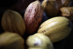 Día Mundial del Cacao: por qué se celebra cada #7Jul