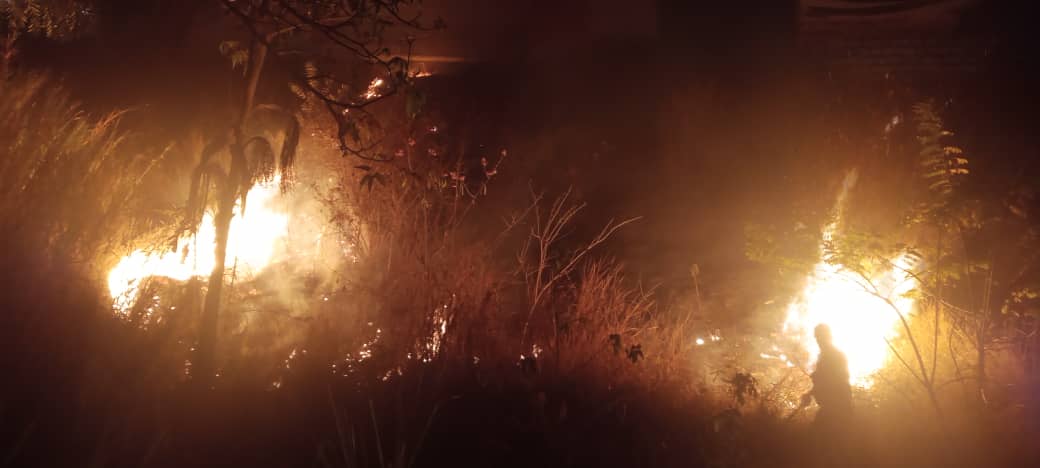 Incendio consumió área vegetal en la urbanización Los Pomelos