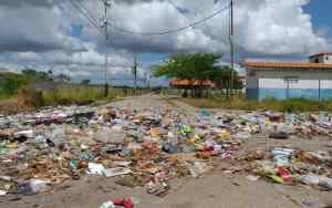 Vecinos de La Gran Victoria en Maturín, olvidados por el chavismo y derrotados por la basura