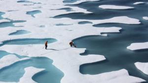 El Ártico se vuelve ácido cuatro veces más rápido de lo esperado