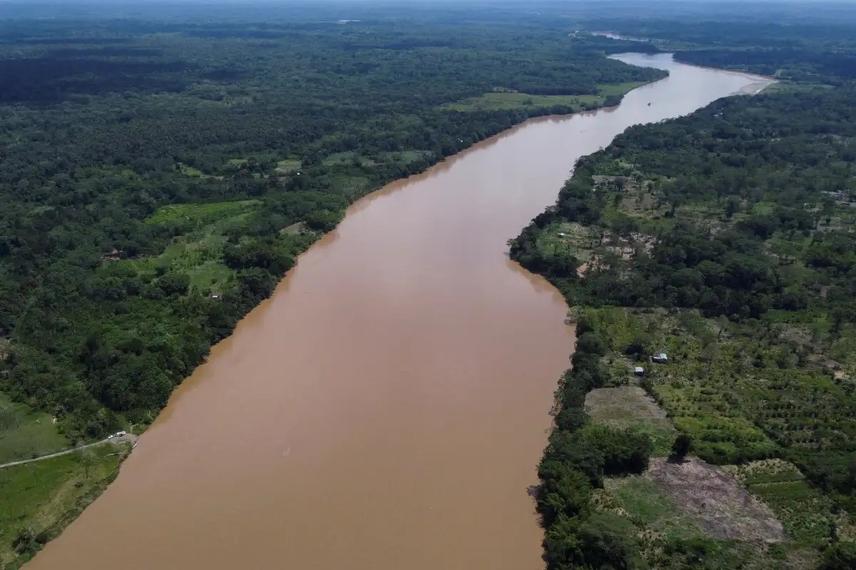 La legítima AN establece el 5 de septiembre como el Día Internacional de la Amazonia en Venezuela