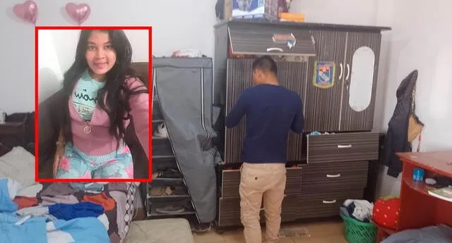 Perú: Venezolana se llevó artefactos, TV y hasta la cocina de su expareja luego de terminar la relación