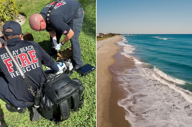 Segundo ataque en dos semanas: Niño fue mordido tiburón en aguas poco profundas de Florida