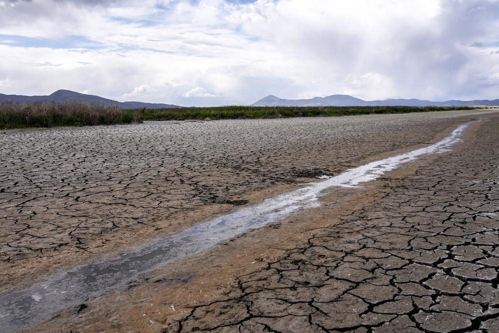 Sin precedentes: Obligan a reducir el consumo de agua en California por fuerte sequía