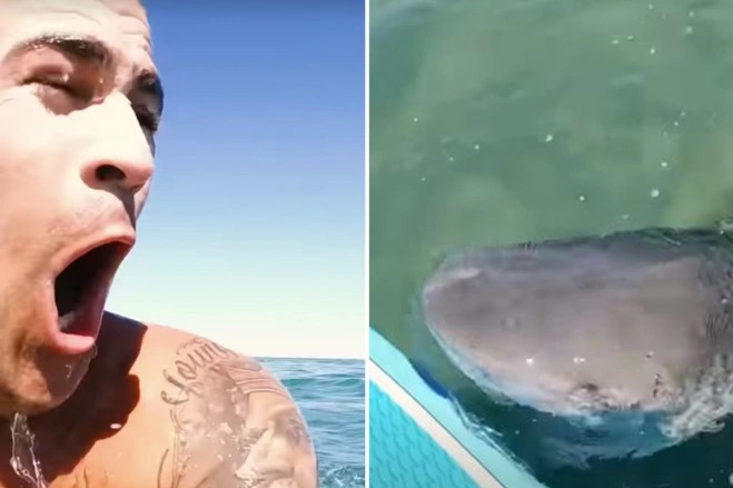 Momento aterrador: Youtuber escapa por poco de las fauces de un enorme tiburón tigre (VIDEO)