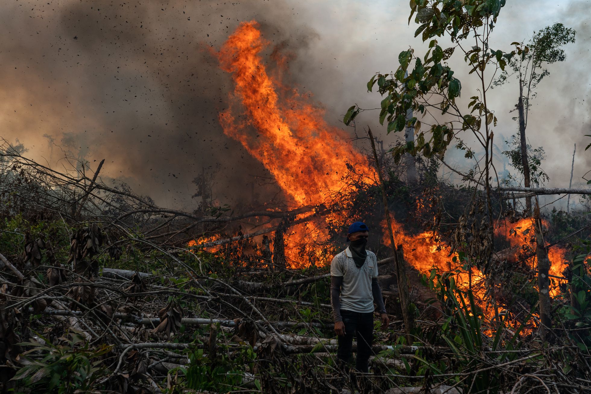 Deforestar la Amazonía colombiana como una forma de vida (Video)