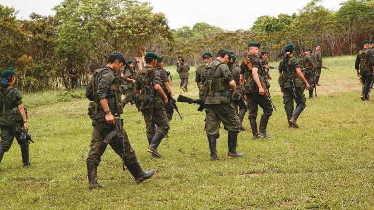 El nuevo jefe de las disidencias en el Cauca es “50 veces más peligroso que Mayimbú”, ¿de quién se trata?
