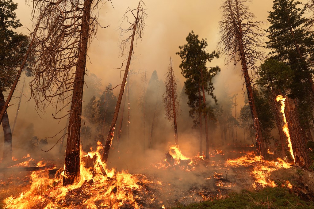 Fotos impactantes: El fuego se extiende en California en medio del calor abrasador