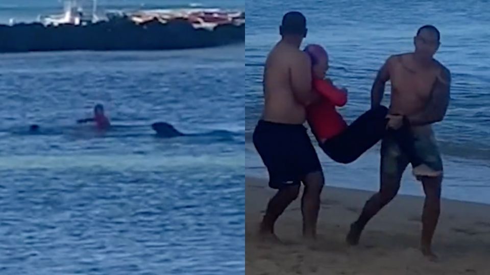 VIRAL: Video capta el momento en que una mujer nada desesperadamente para no morir atacada por una foca
