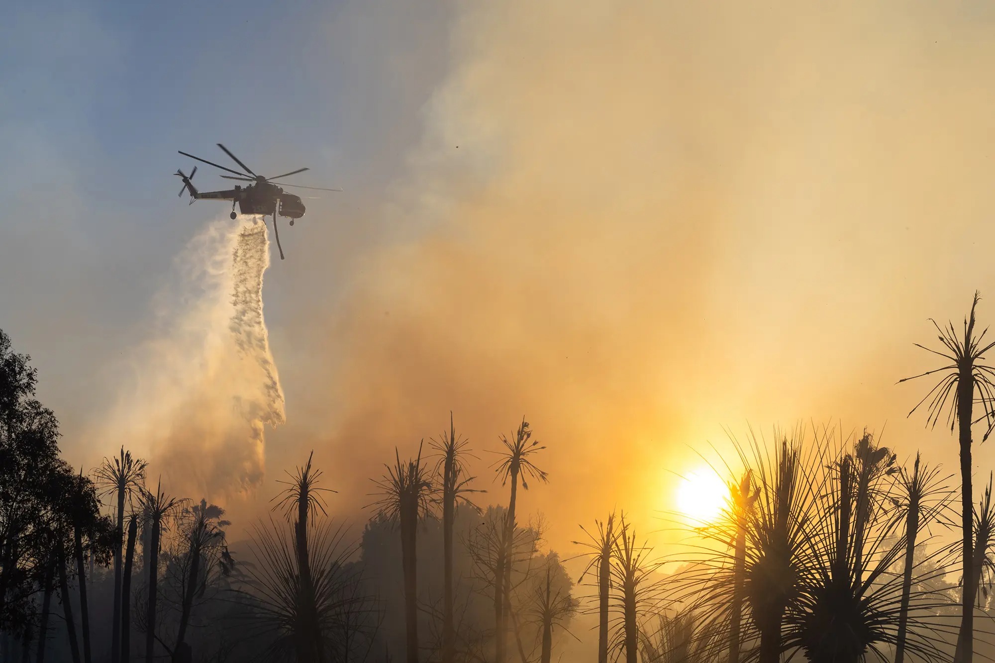 Alerta en California: La severa sequía incrementa el riesgo de incendios forestales