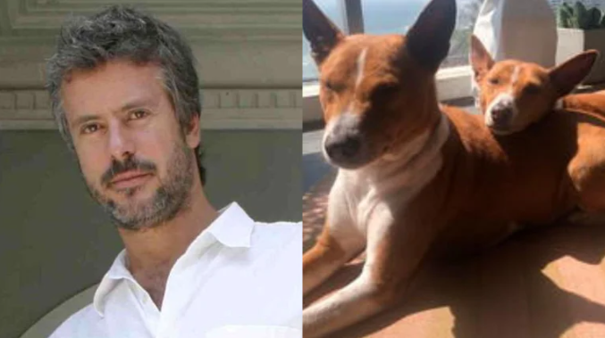 Usuarios se unen para pedir la adopción de los perros de Diego Bertie: “Están sufriendo”