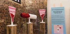Cómo son los museos del pene y de la vagina en Inglaterra y quiénes pueden entrar (FOTOS)