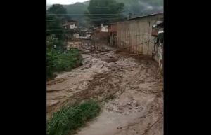 Crecida de la quebrada Los Patos arrasó una casa durante las lluvias en Tejerías (Videos)