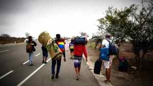 Unos 300 jóvenes de Barinas han decidido desafiar la selva del Darién para emigrar hacia EEUU