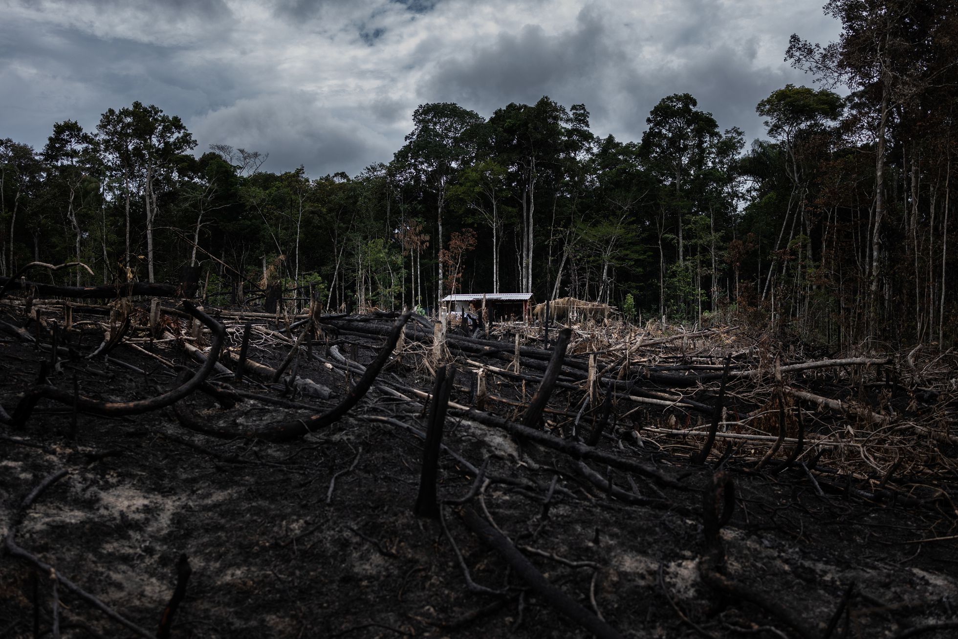 ¿Qué pasa con la Amazonia?: El pulmón de América también está en juego en las elecciones de Brasil