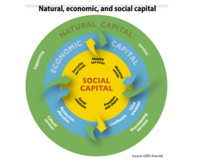 La importancia del capital social en el nuevo mundo híbrido