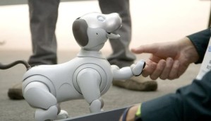 Así serán los “perros robots” que acompañarán a los humanos próximamente