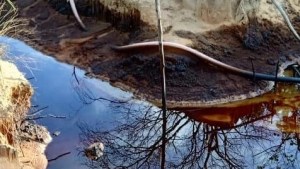 Oil spill affects morichales and farms in southern Anzoátegui
