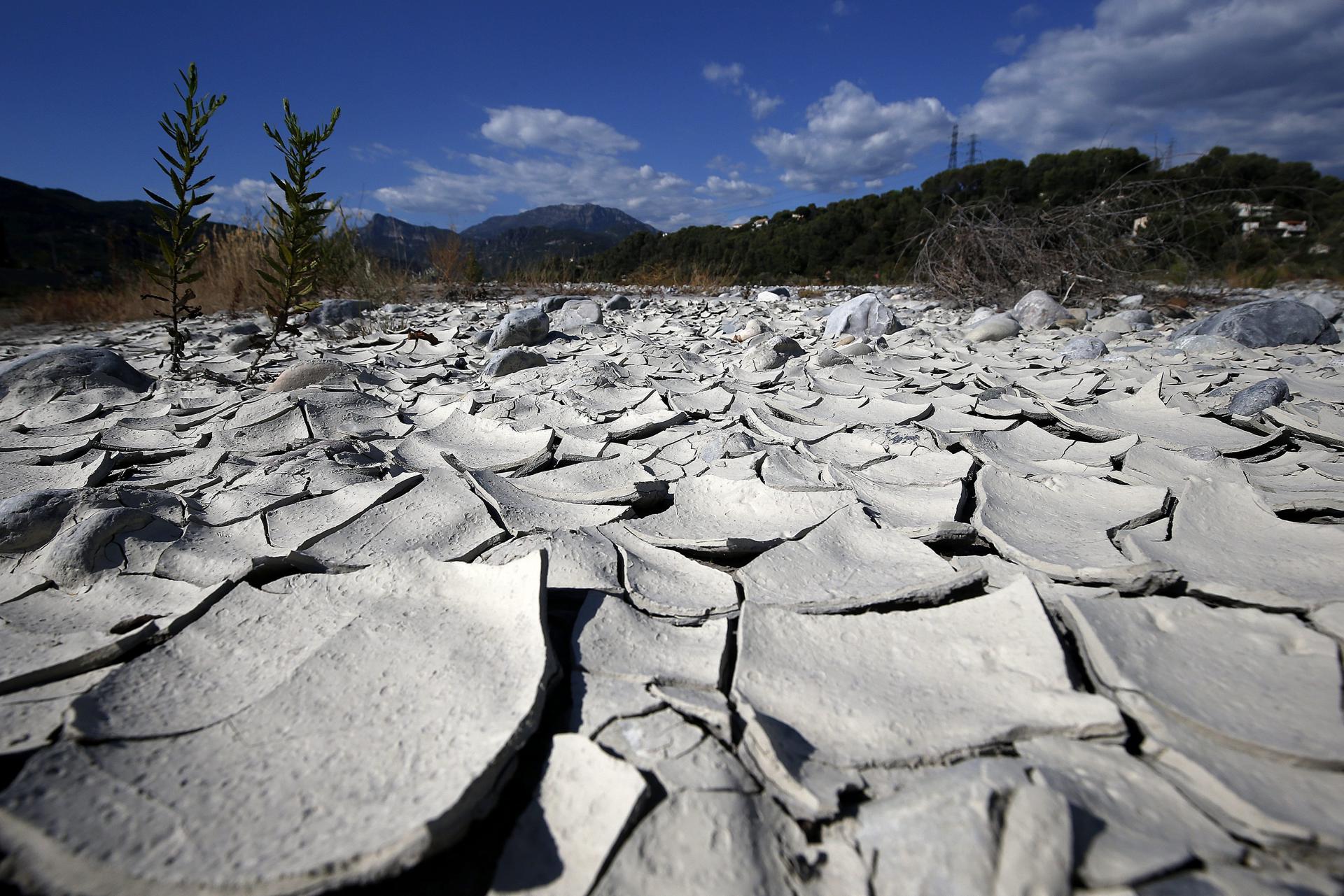 ¿Venezuela corre el riesgo de desertificación?