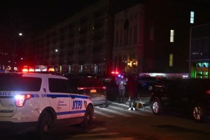 Pastora fue fatalmente atropellada tras tropezar y caerse cuando cruzaba la calle en Brooklyn