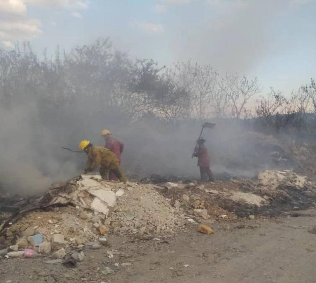 Alerta en Lara ante el incremento de incendios forestales en las últimas semanas (FOTOS)