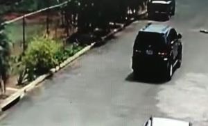 Pasó su camioneta sobre una perrita que reposaba en una calle de Bolívar (Video)