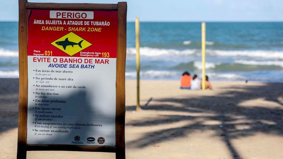 Playa brasileña registró dos ataques de tiburones en las últimas 24 horas