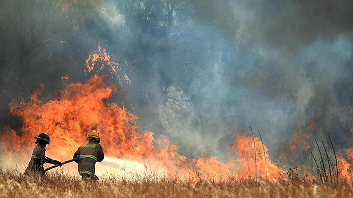Siguen activos 20 incendios forestales en la zona centro sur de Chile