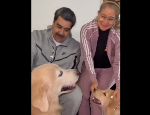 Red Fashion: Maduro y “Cilita” solo usan estas costosas marcas para pasear a sus pedigrí (VIDEO)