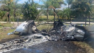 Avión cayó en picada y estalló en una bola de fuego al estrellarse en Florida