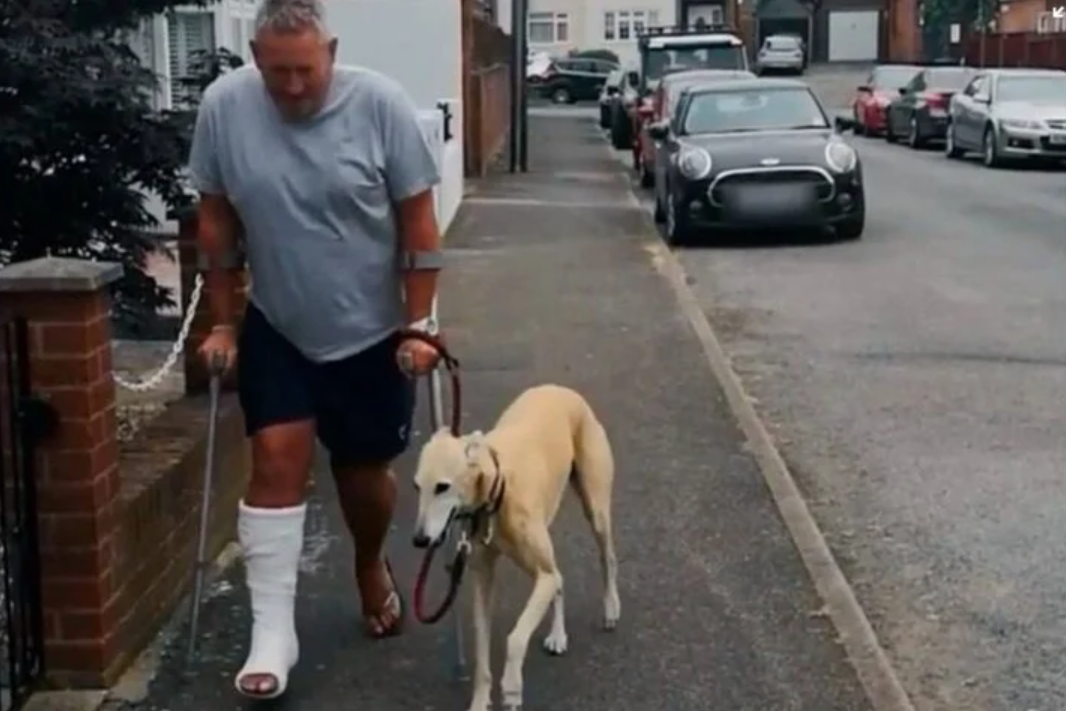 Creyó que su perro cojeaba por estar lastimado y descubrió que lo imita por compasión