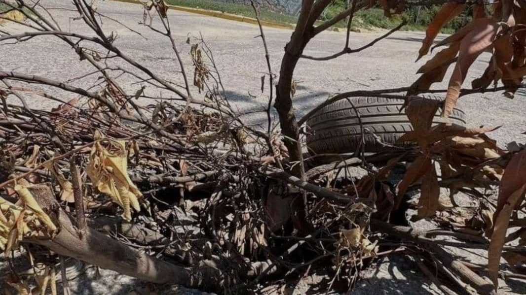 Se hunde el asfalto en calles de Valle Hondo, Altamira y Las Mercedes de Cabudare en Lara