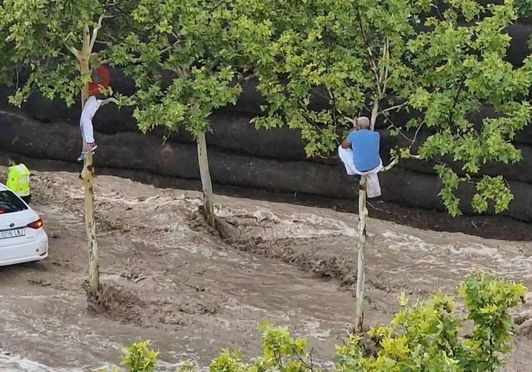 VIDEO: buzos rescataron a vecinos encaramados en árboles durante lluvias en Zaragoza
