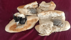 Pillo intentó introducir unos “panes mágicos” en la antigua cárcel de Sabaneta