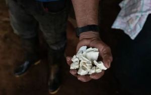 Cocaína podría superar al petróleo y convertirse en la principal exportación de Colombia