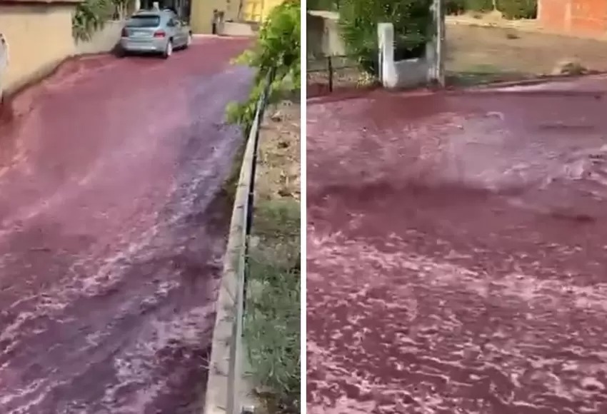 VIDEO: El pueblo que terminó inundado por un río… ¡de VINO!