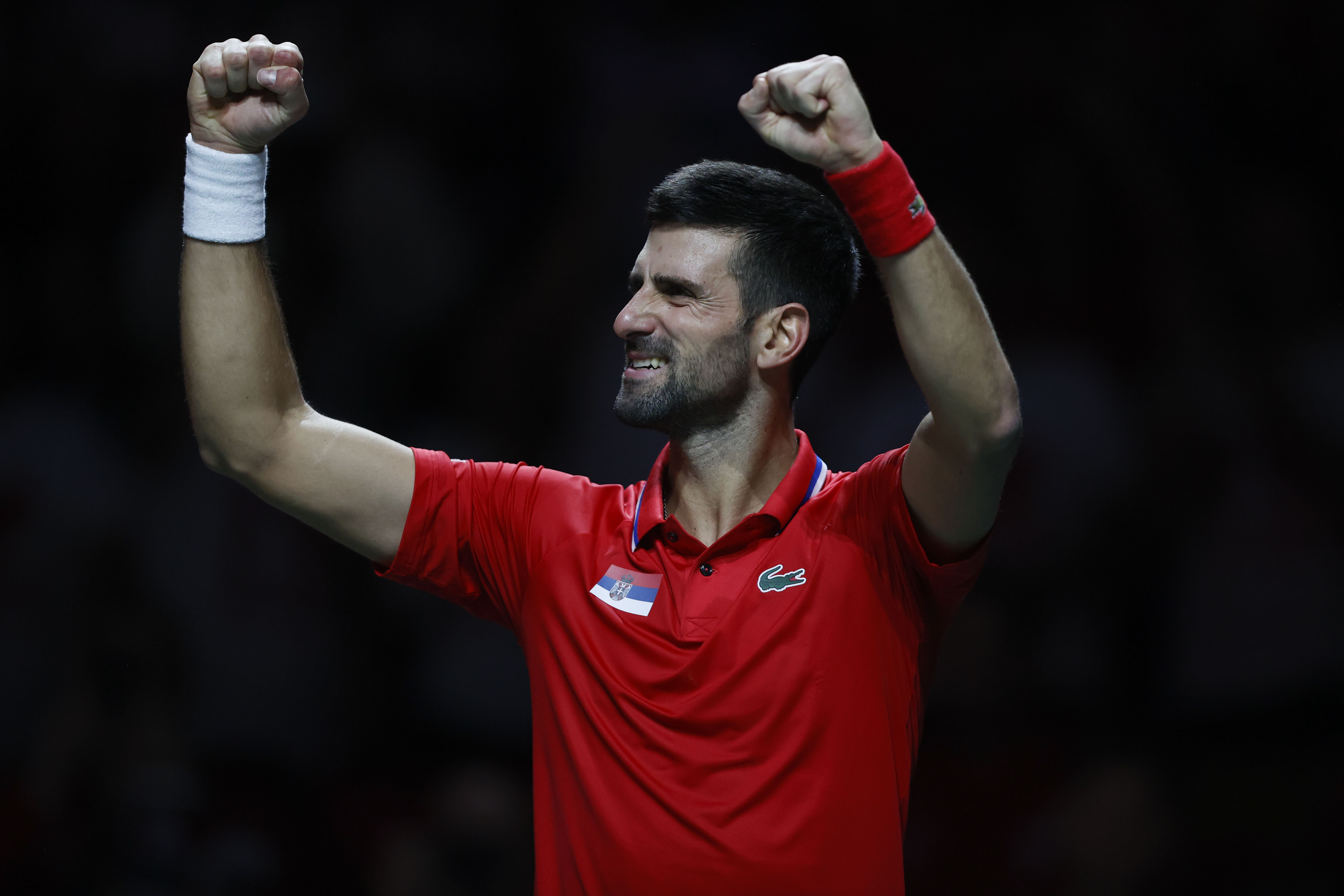 Djokovic instó a fanáticos británicos a comportarse en la Copa Davis