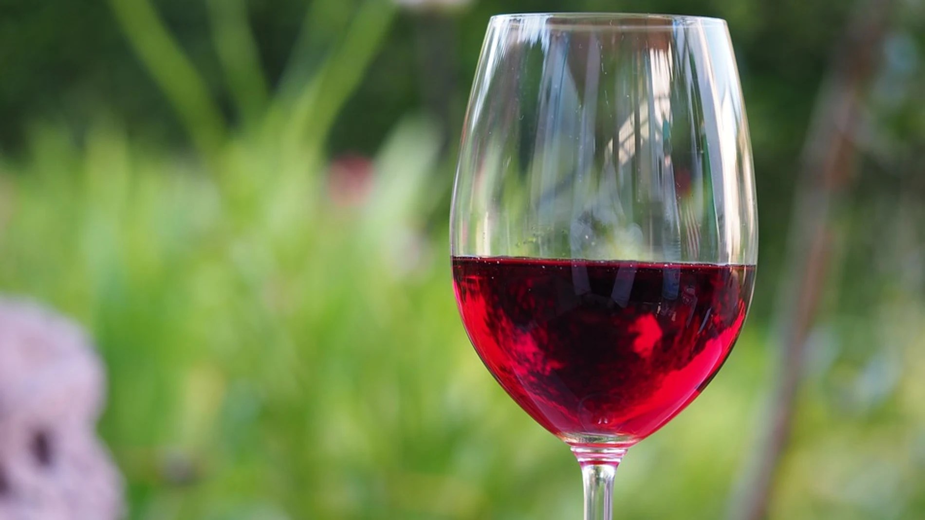 Estos son los beneficios de tomar una copa de vino al día