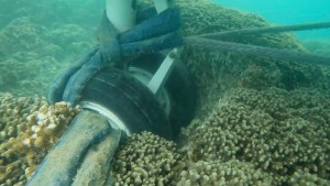 Avión de la Marina de EEUU quedó atascado en un arrecife de coral en Hawái