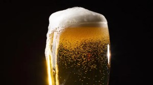 ¿Tomar cerveza con moderación puede ayudar a prevenir enfermedades?