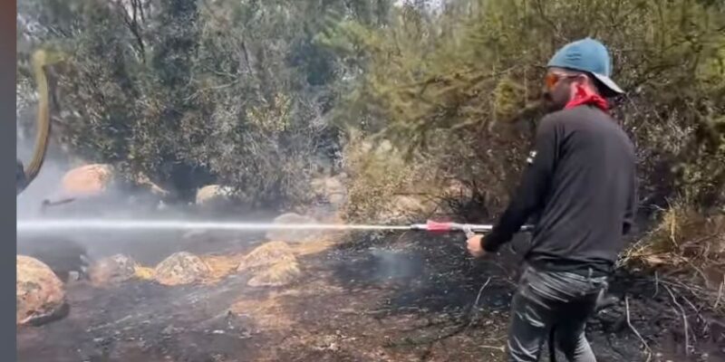 “¡Hoy logramos salvar casas!”: Venezolanos ayudaron a apagar incendios en Chile