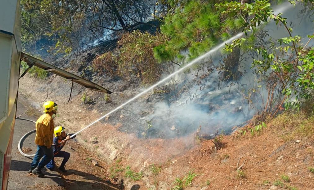 Incendio forestal se registró en el Parque Nacional Chorro del Indio en Táchira (Imágenes)