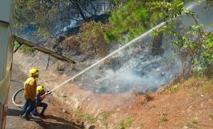 Incendio forestal se registró en el Parque Nacional Chorro del Indio en Táchira (Imágenes)