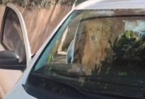 “Mi amor, no”: Fue a buscar su auto para ir a trabajar y encontró a su perro en una situación desgarradora (VIDEO)