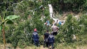Tragedia en Tinaquillo: niño de siete años falleció tras ser aplastado por un árbol en una finca