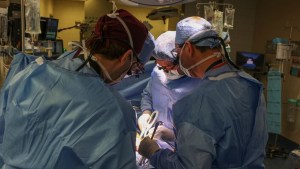 Lo que ocurrió con el primer paciente trasplantado con un riñón de cerdo en Boston
