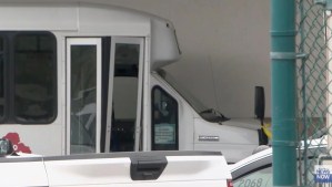 Conductor de autobús confundió el acelerador con el freno en terminal de cruceros de Hawái y provocó fatal accidente