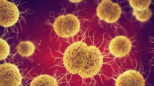 ¿Nueva epidemia? Se disparan en China los casos de una terrible enfermedad resistente a antibióticos