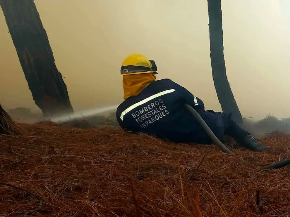 Más de 16 mil hectáreas afectadas en Venezuela por incendios forestales en cinco meses